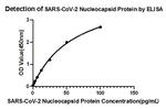 SARS-CoV-2 Nucleocapsid Antibody in ELISA (ELISA)