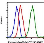 Phospho-ZAP70/Syk (Tyr319, Tyr352) Antibody in Flow Cytometry (Flow)