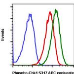 Phospho-Chk1 (Ser317) Antibody in Flow Cytometry (Flow)