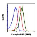 Phospho-BAD (Ser112) Antibody in Flow Cytometry (Flow)