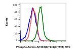 Phospho-Aurora A/B/C (Thr288, Thr232, Thr198) Antibody in Flow Cytometry (Flow)