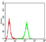 AIM2 Antibody in Flow Cytometry (Flow)