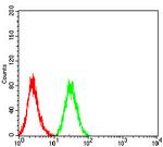 CD72 Antibody in Flow Cytometry (Flow)