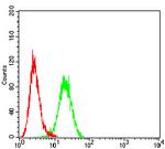 Claudin 6 Antibody in Flow Cytometry (Flow)