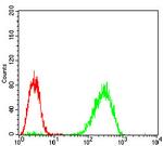 PKR Antibody in Flow Cytometry (Flow)