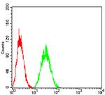 LDLR Antibody in Flow Cytometry (Flow)