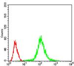 PP1 beta Antibody in Flow Cytometry (Flow)