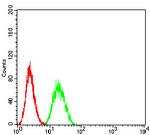 SUZ12 Antibody in Flow Cytometry (Flow)