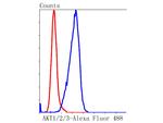 AKT Pan Antibody in Flow Cytometry (Flow)