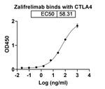 Zalifrelimab Antibody in ELISA (ELISA)