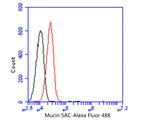 MUC5AC Antibody in Flow Cytometry (Flow)