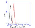 CNTNAP1 Antibody in Flow Cytometry (Flow)