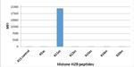 H2BK11ac Antibody in Luminex (LUM)