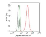 UPK3A Antibody in Flow Cytometry (Flow)