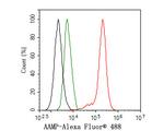 AAMP Antibody in Flow Cytometry (Flow)