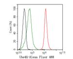 UBE4A Antibody in Flow Cytometry (Flow)