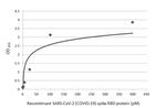 SARS-CoV-2 Spike Protein RBD Antibody in ELISA (ELISA)