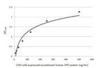 Epo Antibody in ELISA (ELISA)