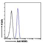 WDR5 Chimeric Antibody in Flow Cytometry (Flow)