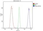 MCM2 Antibody in Flow Cytometry (Flow)