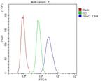 GNAQ Antibody in Flow Cytometry (Flow)