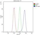 AIP Antibody in Flow Cytometry (Flow)