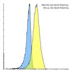 PD-L1 Antibody in Flow Cytometry (Flow)