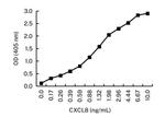 IL-8 (CXCL8) Antibody in ELISA (ELISA)