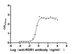 ROR1 Antibody in Neutralization (Neu)