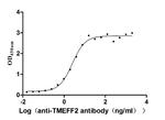 TMEFF2 Antibody in Neutralization (Neu)