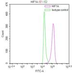 HIF1A Antibody in Flow Cytometry (Flow)