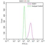 SOD1 Antibody in Flow Cytometry (Flow)