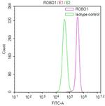 ROBO1 Antibody in Flow Cytometry (Flow)