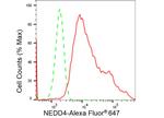NEDD4 Antibody in Flow Cytometry (Flow)