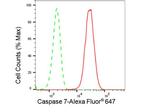 Caspase 7 Antibody in Flow Cytometry (Flow)