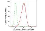 COPS8 Antibody in Flow Cytometry (Flow)