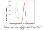 CRMP1 Antibody in Flow Cytometry (Flow)