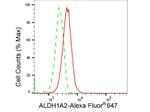 ALDH1A2 Antibody in Flow Cytometry (Flow)