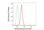 CHMP3 Antibody in Flow Cytometry (Flow)