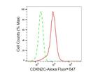 CDKN2C Antibody in Flow Cytometry (Flow)