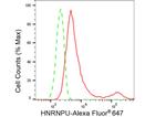 hnRNP U Antibody in Flow Cytometry (Flow)