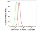 MHC Class I Antibody in Flow Cytometry (Flow)