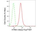 HTRA1 Antibody in Flow Cytometry (Flow)