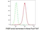 FKBP4 Antibody in Flow Cytometry (Flow)