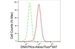 DNA-PK Antibody in Flow Cytometry (Flow)
