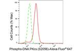 Phospho-DNA-PK (Ser2056) Antibody in Flow Cytometry (Flow)