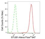 STUB1 Antibody in Flow Cytometry (Flow)