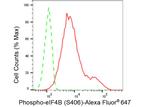 Phospho-eIF4B (Ser406) Antibody in Flow Cytometry (Flow)