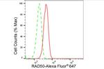 RAD50 Antibody in Flow Cytometry (Flow)