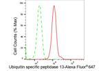 USP13 Antibody in Flow Cytometry (Flow)